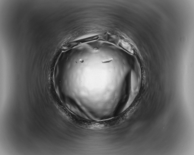 X0000086270257200704122034