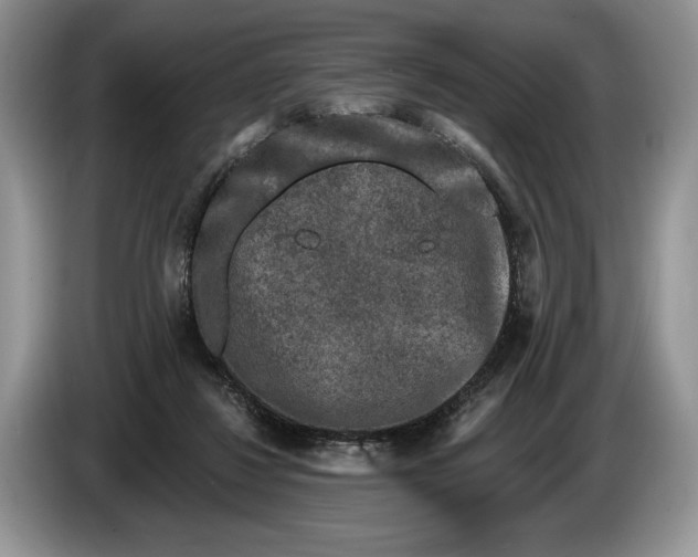 X0000086270260200704122034