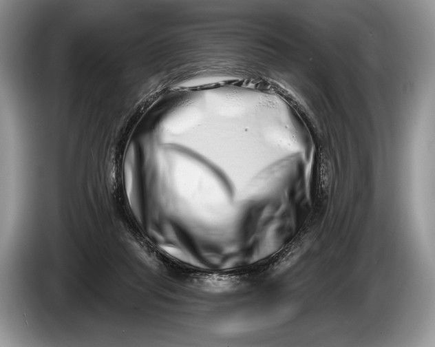 X0000086270261200704122034