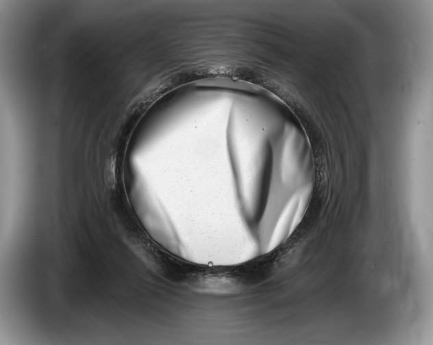 X0000086270262200704122034