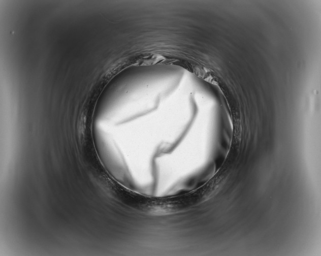 X0000086270263200704122034