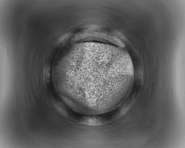 X0000086270264200704122034