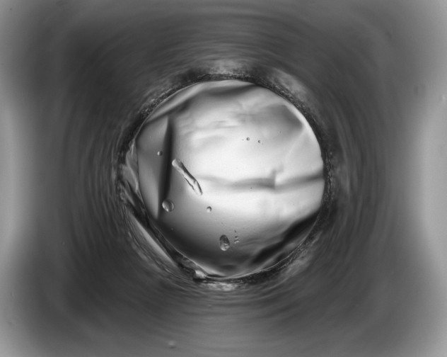 X0000086270265200704122034