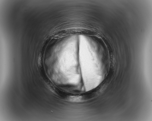 X0000086270266200704122034