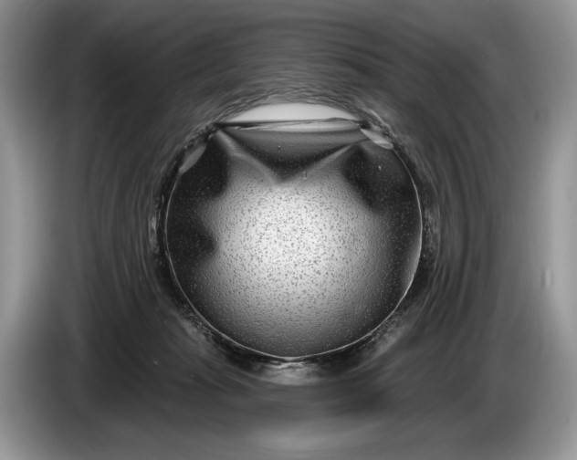 X0000086270269200704122035