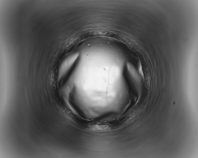 X0000086270270200704122035