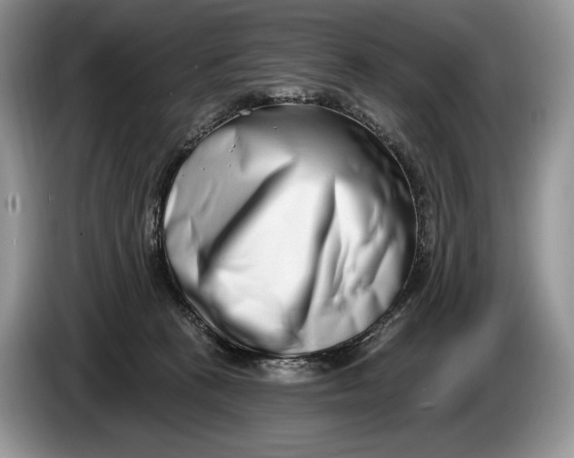 X0000086270273200704122035