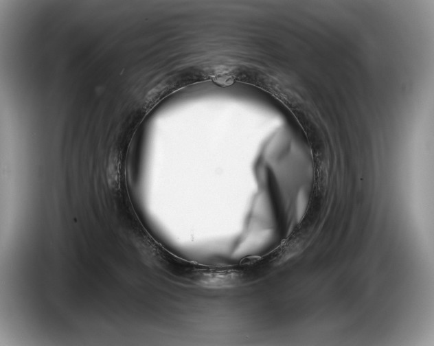 X0000086270274200704122035