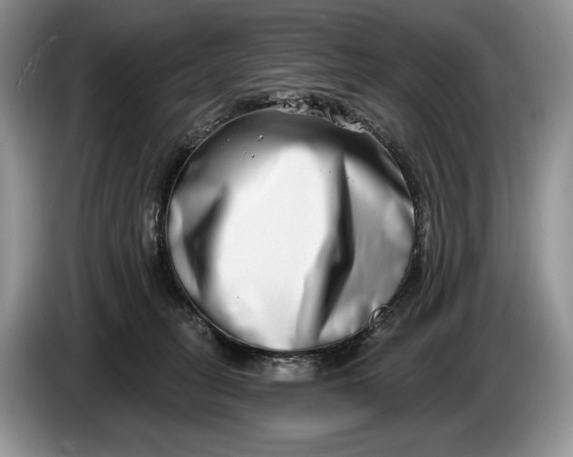 X0000086270275200704122035