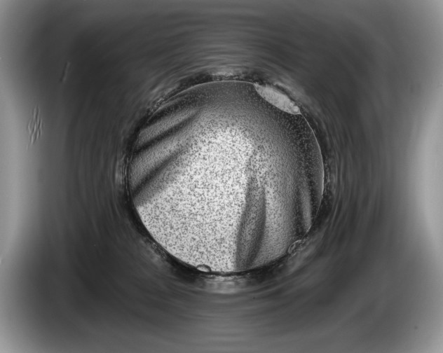 X0000086270277200704122035