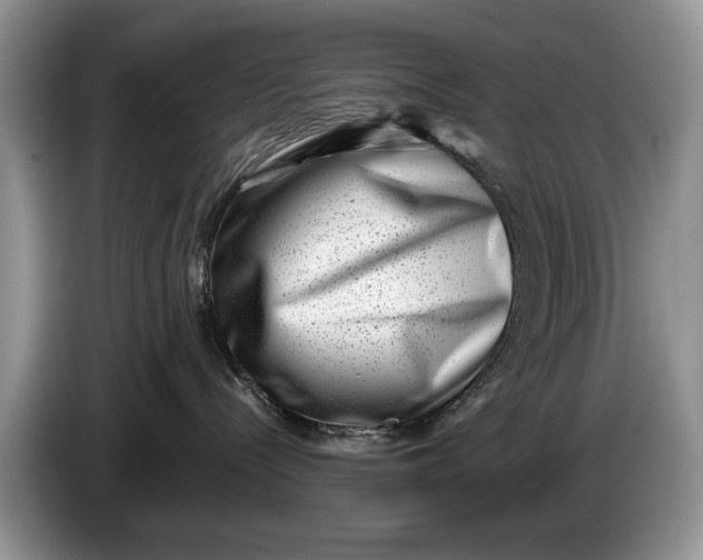 X0000086270288200704122035