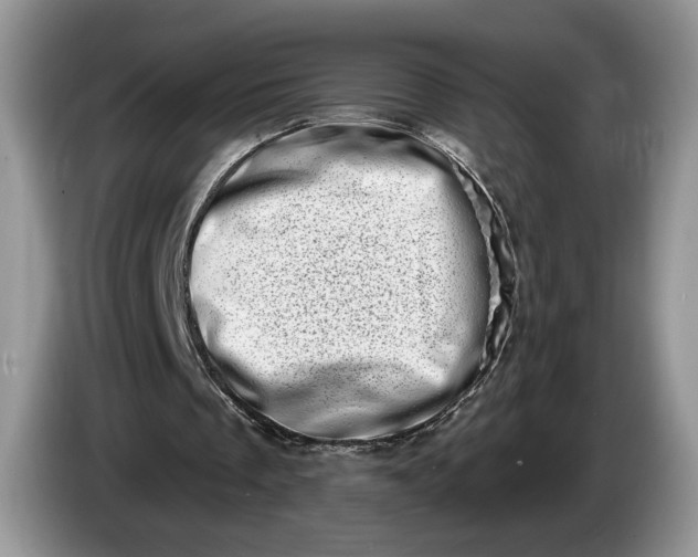 X0000086270289200704122034