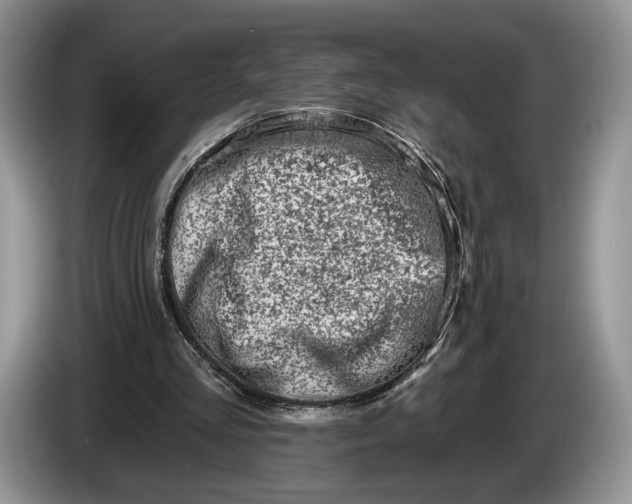 X0000086270293200704122034