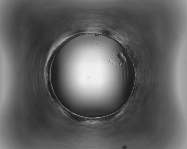 X0000086270294200704122034