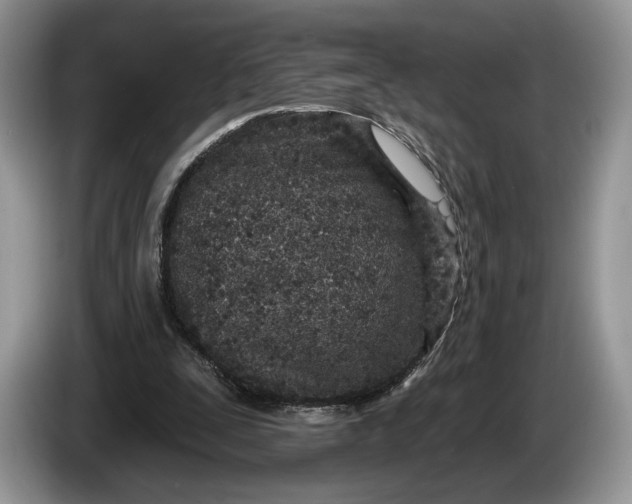 X0000086270295200704122034