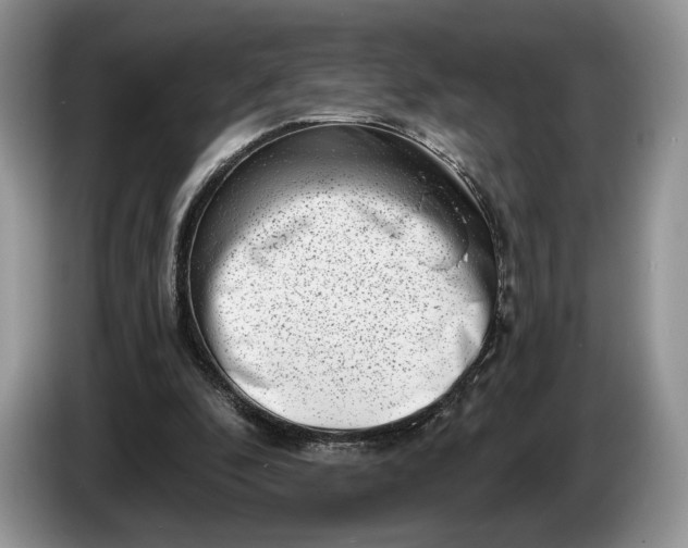 X0000086270296200704122034