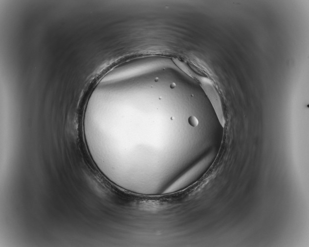 X0000086270298200704122034