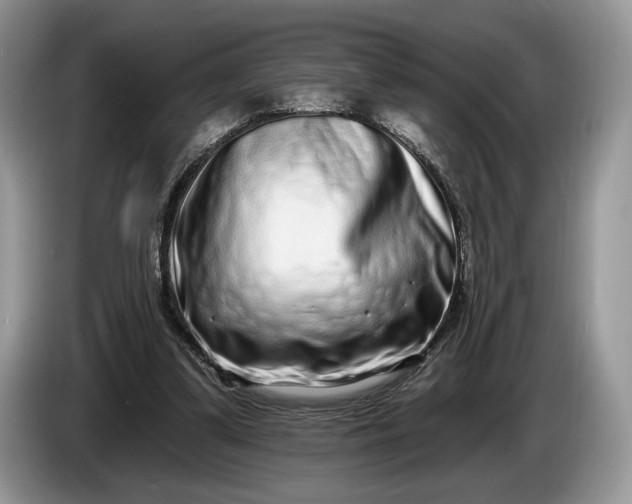 X0000086270299200704122034