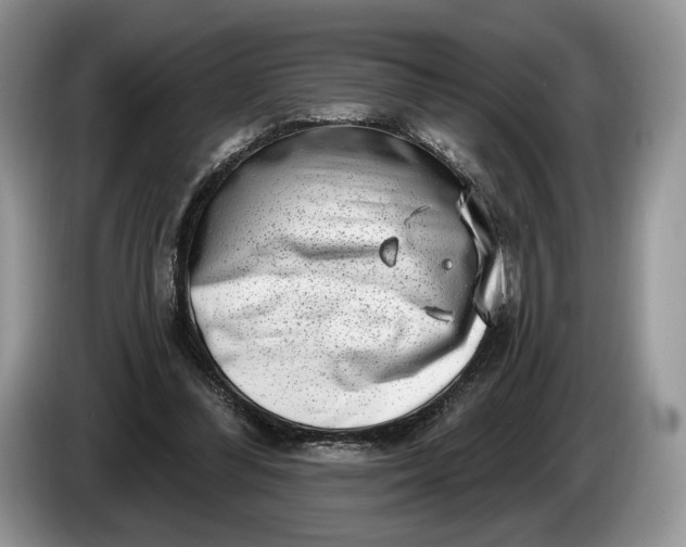 X0000086270300200704122034