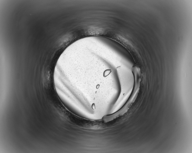 X0000086270308200704122034