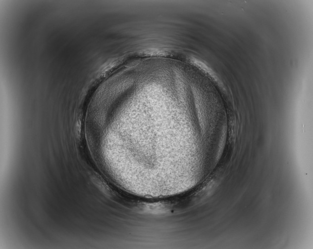 X0000086270309200704122034