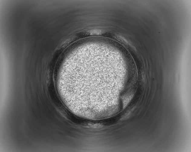 X0000086270311200704122034