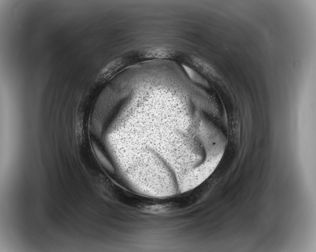 X0000086270312200704122034