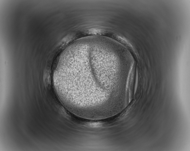 X0000086270313200704122034