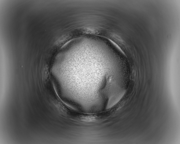 X0000086270318200704122034