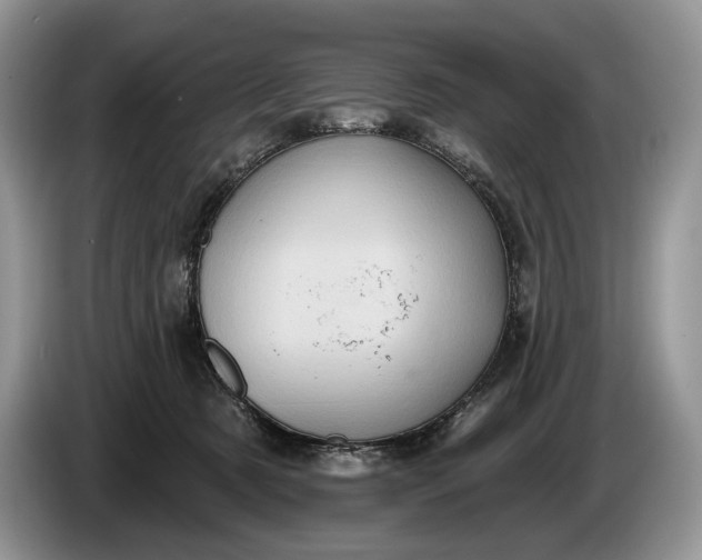 X0000086270321200704122034