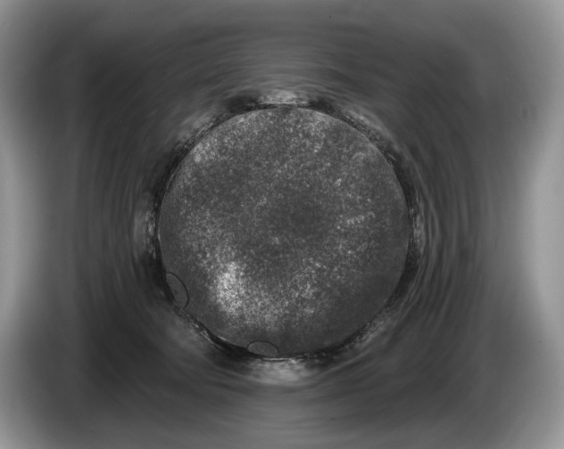 X0000086270322200704122034