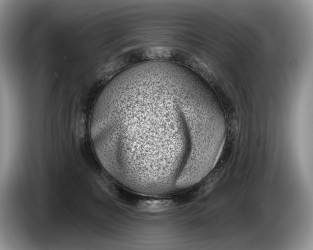 X0000086270323200704122034