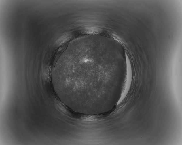 X0000086270325200704122034