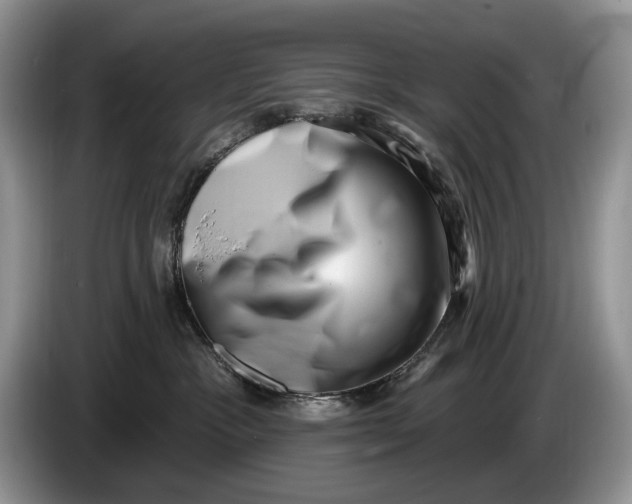 X0000086270333200704122034