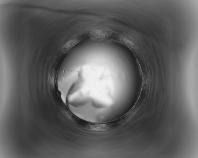 X0000086270334200704122034