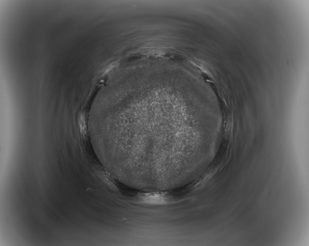 X0000086270335200704122034