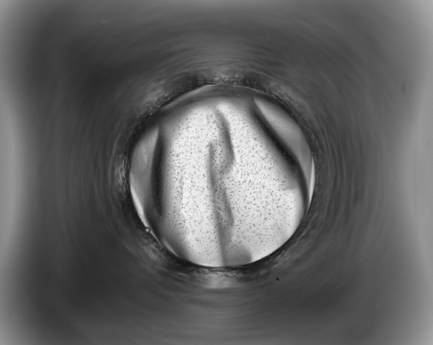 X0000086270336200704122034