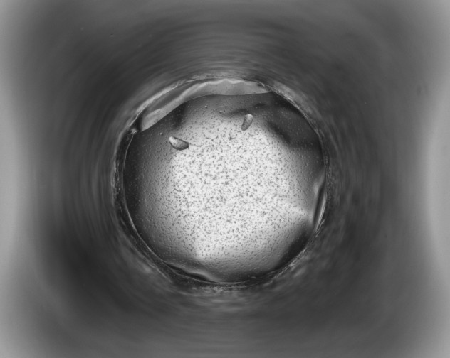 X0000086270338200704122033