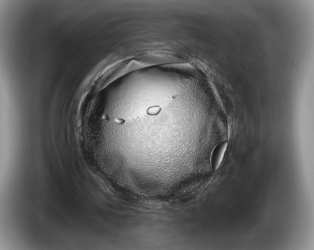 X0000086270339200704122033