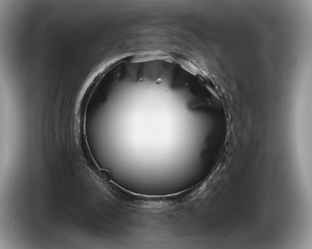 X0000086270342200704122033