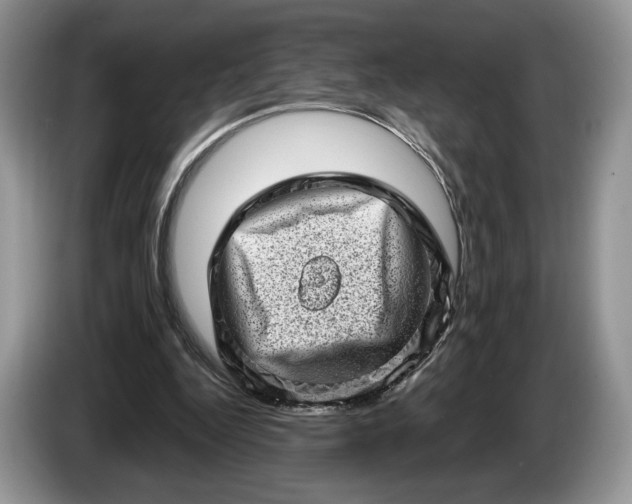 X0000086270344200704122033