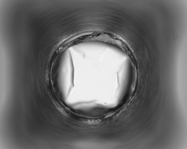 X0000086270345200704122033