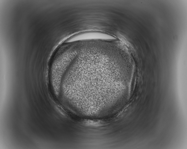 X0000086270346200704122033