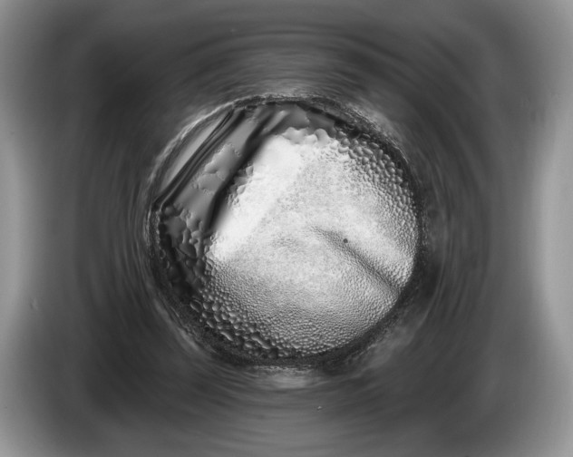 X0000086270347200704122033