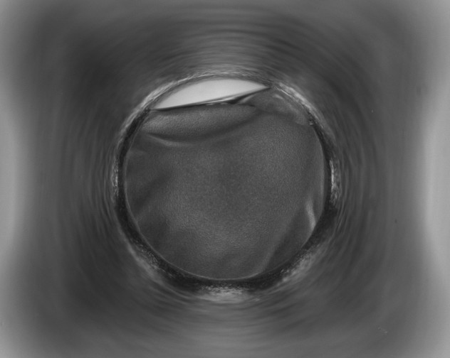 X0000086270348200704122033