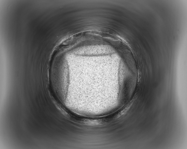 X0000086270349200704122033