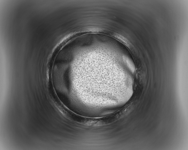 X0000086270350200704122033