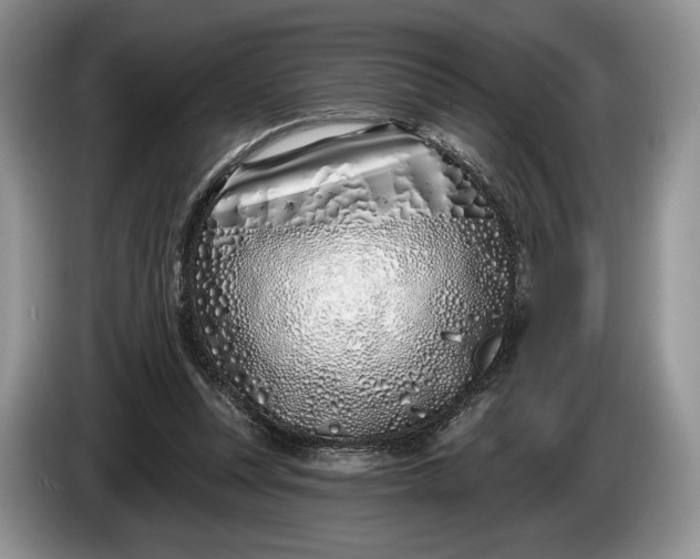 X0000086270351200704122033