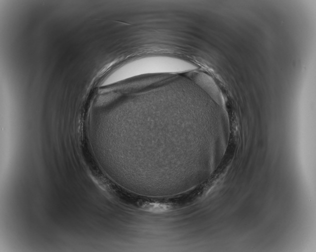 X0000086270352200704122033