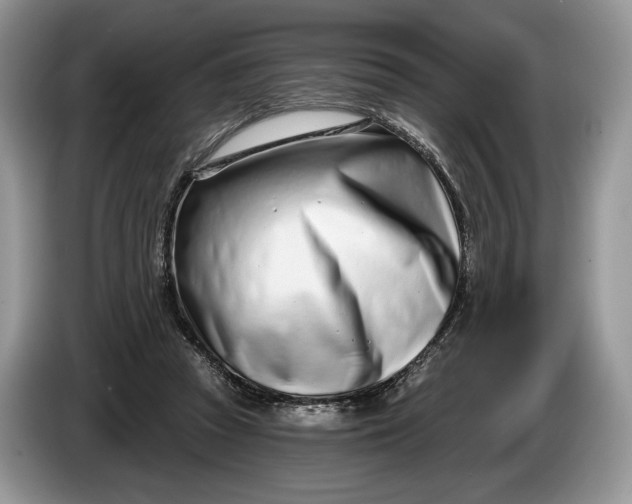 X0000086270353200704122033